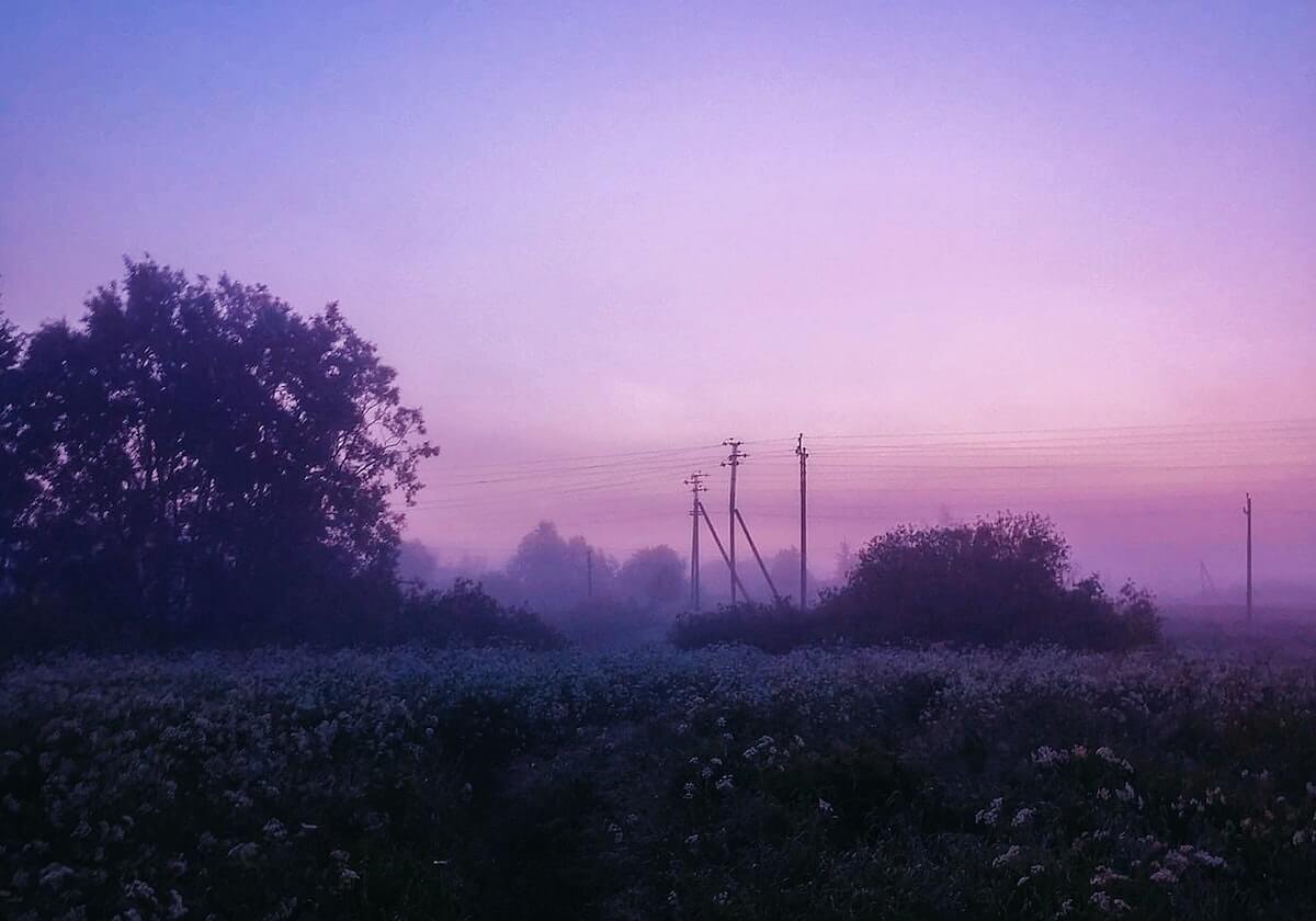官方向海角网址入口无打扰模式手册