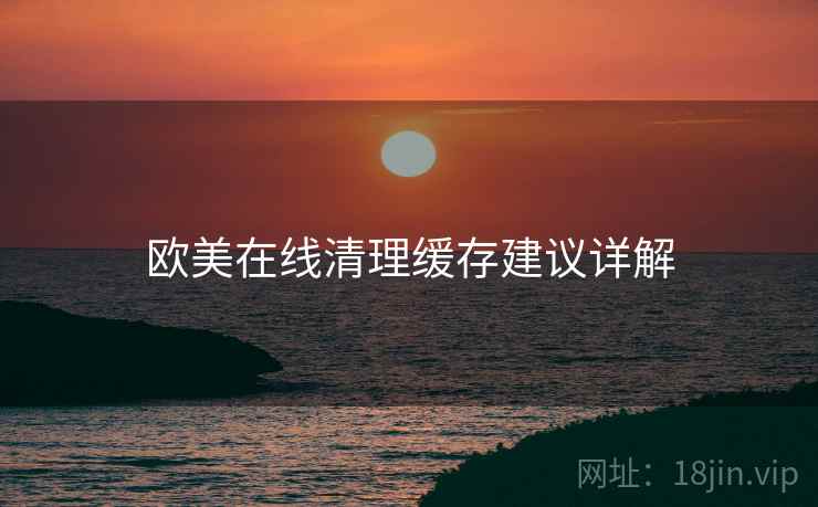 欧美在线清理缓存建议详解 欧美在线清理缓存建议详解