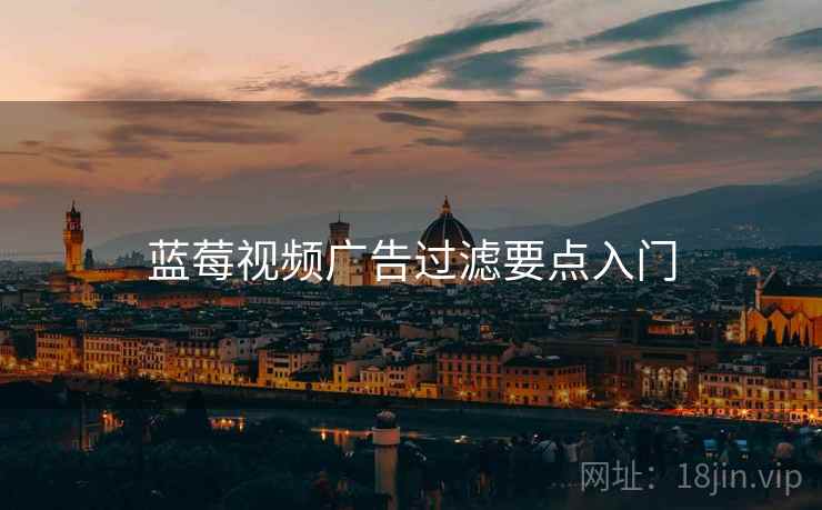 蓝莓视频广告过滤要点入门 蓝莓视频广告过滤要点入门