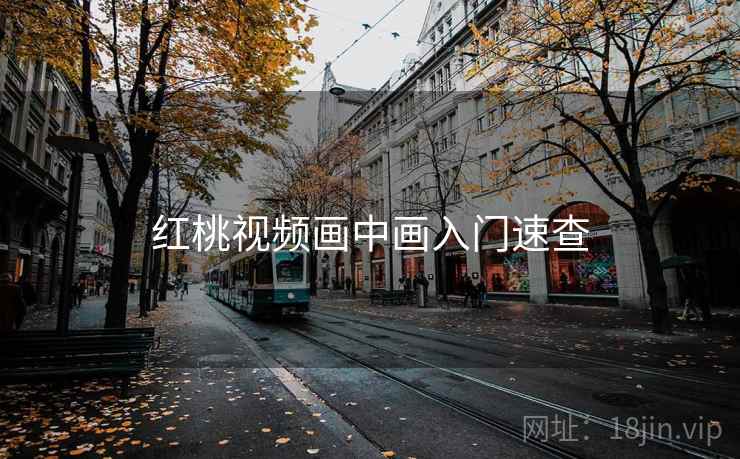 红桃视频画中画入门速查 红桃视频画中画入门速查