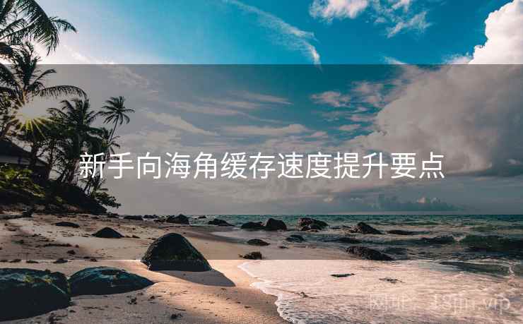 新手向海角缓存速度提升要点