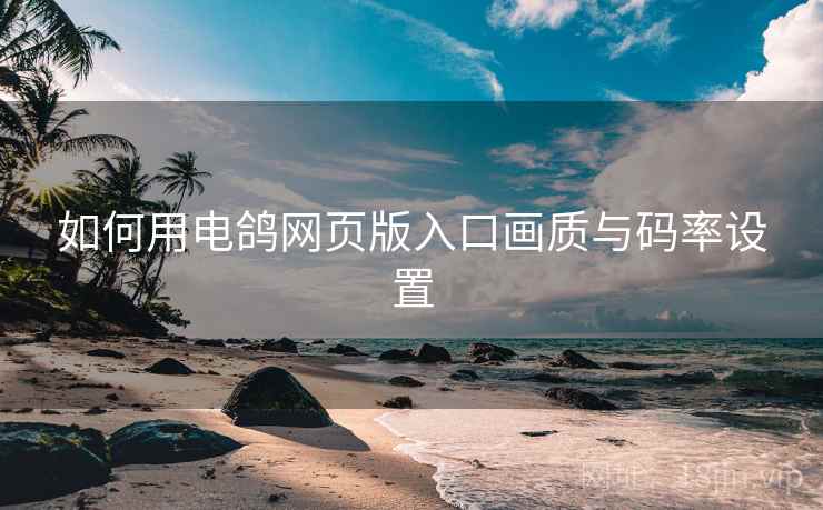 如何用电鸽网页版入口画质与码率设置